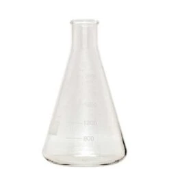2000 Ml Erlenmeyer Flask