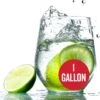 Lime Hard Seltzer Recipe Kit - 1 Gallon Recipe Kit -US Drinks Sales 2024 B11680L Lime Hard Seltzer 1 gallon